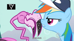 Size: 634x352 | Tagged: safe, screencap, rainbow dash, flamingo, pegasus, pony, may the best pet win, youtube caption