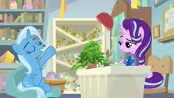 Size: 1920x1080 | Tagged: safe, derpibooru import, screencap, phyllis, starlight glimmer, trixie, pony, unicorn, a horse shoe-in, arrogant, bookshelf, duo, eyes closed, female, frown, grin, hair flip, headmare starlight, interview, mare, narrowed eyes, philodendron, raised eyebrow, raised hoof, scroll, sitting, smiling, starlight is not amused, starlight's office, unamused, unimpressed
