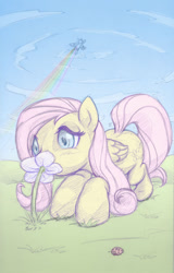 Size: 577x900 | Tagged: safe, artist:cow41087, fluttershy, rainbow dash, ladybug, pegasus, pony, flower, flying