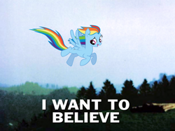 Size: 1024x768 | Tagged: safe, rainbow dash, pony, caption, i want to believe, image macro, irl, photo, ponies in real life, the x files, vector