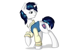 Size: 1500x996 | Tagged: safe, artist:rubywave32, shining armor, pony, unicorn, clothes, jacket, solo