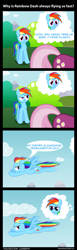 Size: 800x2606 | Tagged: safe, artist:innuendo88, artist:mrbastoff, cheerilee, rainbow dash, pegasus, pony, comic, spanish, translation