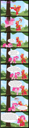 Size: 2778x12000 | Tagged: safe, artist:hatbulbproductions, big macintosh, pinkie pie, earth pony, pony, applebucking, comic, kick, male, personal space invasion, stallion