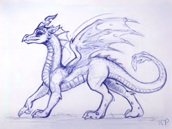 Size: 1200x900 | Tagged: safe, artist:kp-shadowsquirrel, queen chrysalis, changeling, changeling queen, dragon, dragoness, dragonified, dragonlis, female, monochrome, pen drawing, solo, species swap, traditional art
