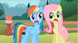 Size: 1856x1043 | Tagged: safe, edit, screencap, fluttershy, rainbow dash, pegasus, pony, may the best pet win, faic, inverted mouth