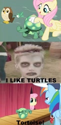 Size: 512x1050 | Tagged: safe, fluttershy, rainbow dash, tank, human, comic, i like turtles, image macro