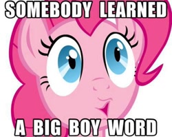 Size: 480x383 | Tagged: safe, pinkie pie, earth pony, pony, bridle gossip, caption, image macro, implied vulgar, reaction image, spooky