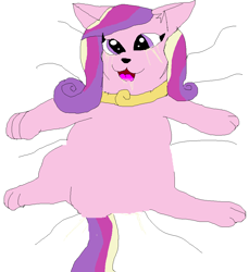 Size: 940x1024 | Tagged: safe, edit, princess cadance, cat, clothes, female, multicolored hair, solo, species swap