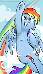 Size: 391x670 | Tagged: safe, artist:spainfischer, rainbow dash, pegasus, pony, female, mare, simple background, solo