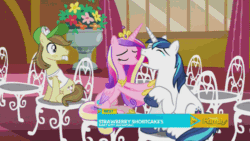 Size: 500x281 | Tagged: safe, screencap, hayseed turnip truck, princess cadance, shining armor, alicorn, earth pony, pony, unicorn, slice of life (episode), animated, bucktooth, chair, crying, discovery family, discovery family logo, female, liquid pride, male, mare, sad armor, sitting, stallion, whining armor