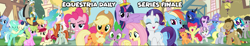 Size: 1903x351 | Tagged: safe, derpibooru import, apple bloom, applejack, bon bon, crackle cosette, daisy, derpy hooves, discord, dj pon-3, doctor whooves, flower wishes, fluttershy, lily, lily valley, lyra heartstrings, minuette, octavia melody, pinkie pie, princess celestia, princess luna, queen chrysalis, rainbow dash, rarity, roseluck, scootaloo, spike, starlight glimmer, sweetie belle, sweetie drops, trixie, twilight sparkle, twilight sparkle (alicorn), vinyl scratch, alicorn, changeling, changeling queen, dragon, earth pony, pegasus, pony, unicorn, big crown thingy, bittersweet, camera, clothes, cutie mark crusaders, disguised changeling, element of magic, equestria daily, female, flower trio, fourth doctor's scarf, heartwarming, jewelry, lesbian, lyrabon, mane six, ponyville, regalia, scarf, series finale, shipping, the end