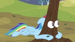 Size: 1152x648 | Tagged: safe, screencap, rainbow dash, pegasus, pony, hurricane fluttershy, eye, eyes, tree, wat