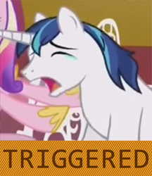 Size: 640x742 | Tagged: safe, princess cadance, shining armor, alicorn, pony, unicorn, slice of life (episode), crying, eyes closed, headcanon, open mouth, ptsd, sad armor, triggered