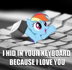Size: 500x487 | Tagged: safe, rainbow dash, pegasus, pony, arms in the air, bronybait, cute, dashabetes, female, i hid in your keyboard, image macro, irl, keyboard, looking up, mare, meme, open mouth, photo, ponies in real life, smiling, solo
