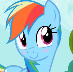 Size: 410x404 | Tagged: safe, rainbow dash, pegasus, pony, blue mane, blushing, cute, female, mare, multicolored mane