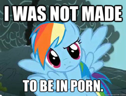 Size: 423x321 | Tagged: safe, edit, edited screencap, screencap, rainbow dash, pegasus, pony, caption, female, image macro, looking at you, mare, porn, solo