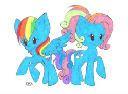 Size: 900x667 | Tagged: safe, artist:polishhedgiefangirl, rainbow dash, rainbow dash (g3), pegasus, pony, g3, g3.5, g3 to g4, generation leap, traditional art