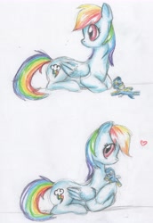 Size: 6800x9904 | Tagged: safe, artist:kulturschock, rainbow dash, soarin', pegasus, pony, absurd resolution, crush plush, cute, female, heart, male, plushie, shipping, soarindash, straight, traditional art, wonderbolts