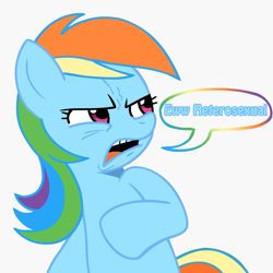 Size: 945x945 | Tagged: safe, rainbow dash, pegasus, pony, ew gay, female, heterophobia, lesbian, solo