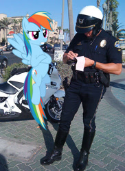 Size: 458x630 | Tagged: safe, rainbow dash, human, pony, annoyed, crossed hooves, flying, frown, gritted teeth, irl, motorcycle, photo, police, police officer, ponies in real life, speeding ticket, spread wings, traffic stop