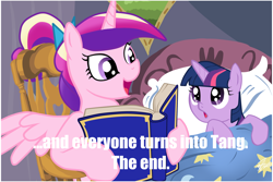 Size: 1024x683 | Tagged: safe, princess cadance, twilight sparkle, unicorn twilight, alicorn, pony, unicorn, bed, bedtime story, blanket, book, bow, cadance's bedtime stories, chair, detailed background, duo, duo female, end of evangelion, exploitable meme, female, females only, filly, filly twilight sparkle, hair bow, hoof hold, horn, looking at each other, looking up, meme, multicolored mane, neon genesis evangelion, open mouth, pillow, pink coat, pink wings, purple coat, purple eyes, sitting, smiling, spread wings, text, wings, younger