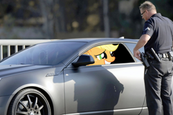 Size: 1000x667 | Tagged: safe, applejack, human, pony, g3.5, car, irl, photo, police, ponies in real life, vector, when you see it