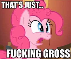 Size: 654x543 | Tagged: safe, pinkie pie, earth pony, pony, caption, image macro, reaction image, vulgar