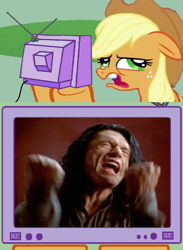 Size: 563x771 | Tagged: safe, applejack, earth pony, pony, exploitable meme, meme, the room, tommy wiseau, tv meme, you're tearing me apart lisa