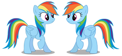 Size: 5936x2750 | Tagged: safe, artist:mrlolcats17, rainbow dash, changeling, pegasus, pony, cutie mark, disguise, disguised changeling, female, hooves, looking at each other, mare, raised hoof, simple background, transparent background, vector, wings