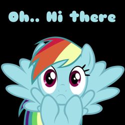 Size: 800x800 | Tagged: safe, rainbow dash, pegasus, pony, fourth wall, image macro, inverted mouth, text