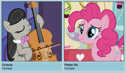 Size: 529x307 | Tagged: safe, octavia melody, pinkie pie, earth pony, pony, meme, shipyard lulz, vector