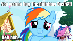 Size: 1280x718 | Tagged: safe, edit, edited screencap, screencap, rainbow dash, pegasus, pony, friendship is magic, bronybait, caption, cute, hug, image macro, meme