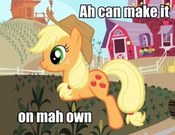 Size: 464x356 | Tagged: safe, applejack, earth pony, pony, accent, applejack's hat, caption, carrot farm, cowboy hat, female, hat, homestar runner, image macro, impact font, li'l brudder, mare, missing limb, needs more jpeg, solo, sweet apple acres, text