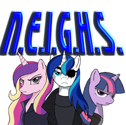 Size: 1200x1187 | Tagged: safe, artist:kenichi-shinigami, princess cadance, shining armor, twilight sparkle, alicorn, pony, unicorn, agent cadance, avengers, black widow (marvel), crossover, maria hill, marvel, n.e.i.g.h.s., nick fury, s.h.i.e.l.d., shining fury, twilight widow