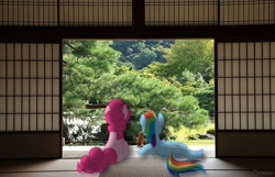 Size: 800x514 | Tagged: safe, pinkie pie, rainbow dash, pony, irl, japan, photo, ponies in real life, vector