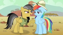 Size: 1920x1080 | Tagged: safe, artist:adcoon, daring do, rainbow dash, pegasus, pony, bedroom eyes, hat