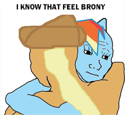 Size: 500x461 | Tagged: safe, applejack, rainbow dash, earth pony, pegasus, pony, dem feels, image macro, meme