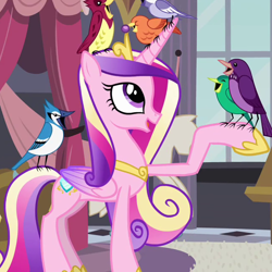 Size: 646x646 | Tagged: safe, screencap, constance, princess cadance, alicorn, bird, blue jay, pony, a canterlot wedding, birdsong, female, jewelry, mare, purple martin, regalia, songbird