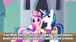 Size: 894x500 | Tagged: safe, screencap, princess cadance, shining armor, alicorn, pony, unicorn, the one where pinkie pie knows, calvin and hobbes, hilarious in hindsight, image macro, meme, this will end in a night on the couch