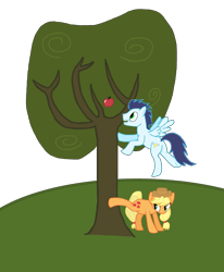 Size: 1901x2305 | Tagged: safe, artist:soup, applejack, soarin', earth pony, pony, apple, applebucking, tree