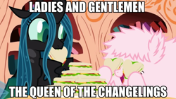 Size: 940x526 | Tagged: safe, queen chrysalis, oc, oc:fluffle puff, changeling, changeling queen, image macro, meme, sandwich