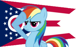 Size: 480x300 | Tagged: safe, rainbow dash, pegasus, pony, blue coat, female, flag, mare, multicolored mane, ohio