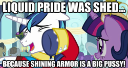 Size: 625x335 | Tagged: safe, screencap, shining armor, pony, unicorn, image macro, liquid pride, meme