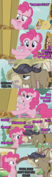 Size: 500x1684 | Tagged: safe, cranky doodle donkey, pinkie pie, donkey, earth pony, pony, comic, names, ponyville