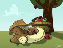 Size: 1200x900 | Tagged: safe, artist:psychodikdik, applejack, earth pony, pony, apple, flower, food, sleeping, solo, tree