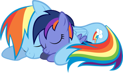 Size: 5000x2957 | Tagged: safe, artist:aeroytechyon-x, rainbow dash, oc, oc:midnight spirit, pegasus, pony, magical lesbian spawn, offspring, parent:rainbow dash, parent:twilight sparkle, parents:twidash, simple background, transparent background, vector