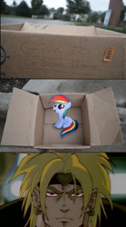 Size: 502x900 | Tagged: safe, rainbow dash, pegasus, pony, fanfic:my little dashie, dashie meme, dio brando, evil people finding dash meme, exploitable meme, jojo's bizarre adventure, meme, photo, this will end in tears