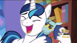 Size: 1920x1080 | Tagged: safe, screencap, shining armor, pony, unicorn, the one where pinkie pie knows, animated, brutus force, cute, eyes closed, happy, loop, nuzzling, open mouth, shining adorable, smiling, snuggling, solo