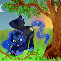 Size: 900x900 | Tagged: safe, artist:archychan06, princess luna, alicorn, ladybug, pony, solo, sunset, tree