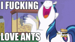 Size: 500x278 | Tagged: safe, screencap, shining armor, pony, unicorn, the one where pinkie pie knows, animated, ant, ant farm, happy, image macro, irrational exuberance, meme, tapping, text, vulgar